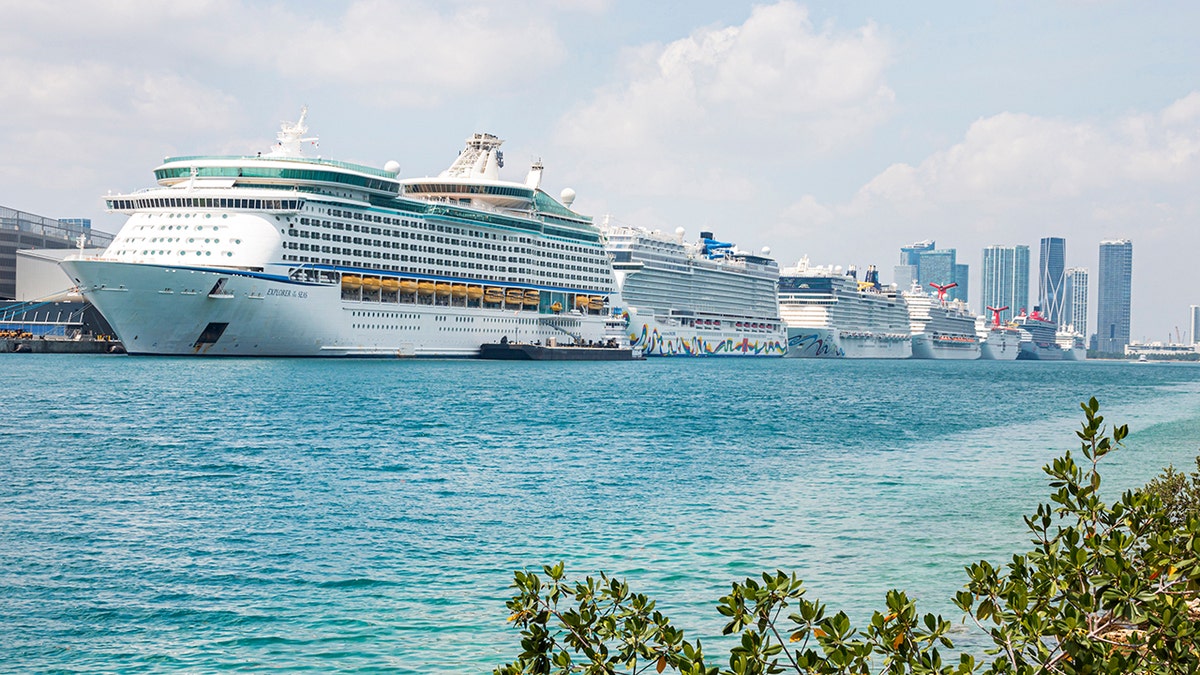 The cruise industry recently urged the CDC to rescind its current Conditional Sailing Order, only for the CDC to refuse. (Jeffrey Greenberg/Education Images/Universal Images Group via Getty Images)