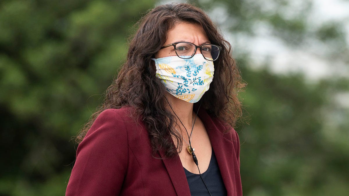 Rashida Tlaib at the Capitol