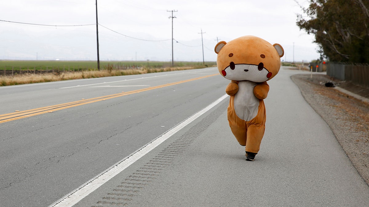Jesse Larios, 33, from Los Angeles, wears a bear suit while walking along Hollister Road in Gilroy, Calif. on April 21.