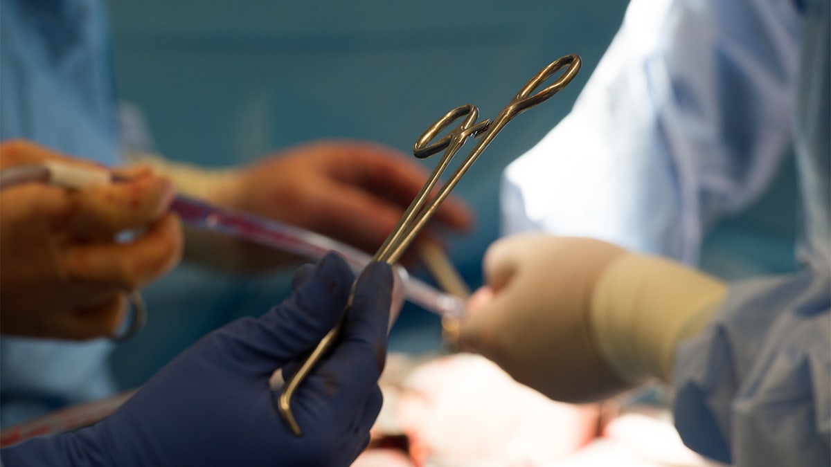 Surgical instruments are used during a kidney transplant surgery at MedStar Georgetown University Hospital in Washington D.C., Tuesday, June 28, 2016. 