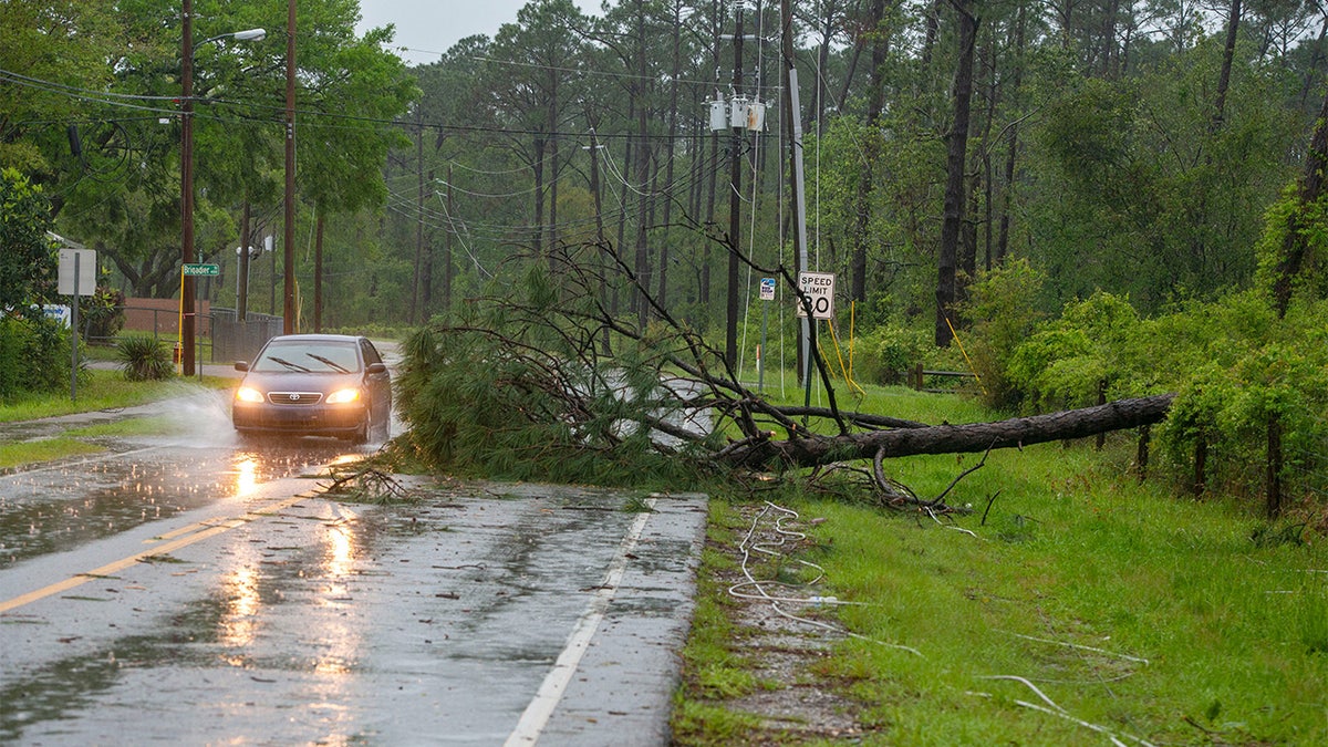A car goes around a fallen tree on Patton Drive in Pensacola on Saturday, April 10, 2021, after a powerful storm swept through the area.Saturday Storm 6