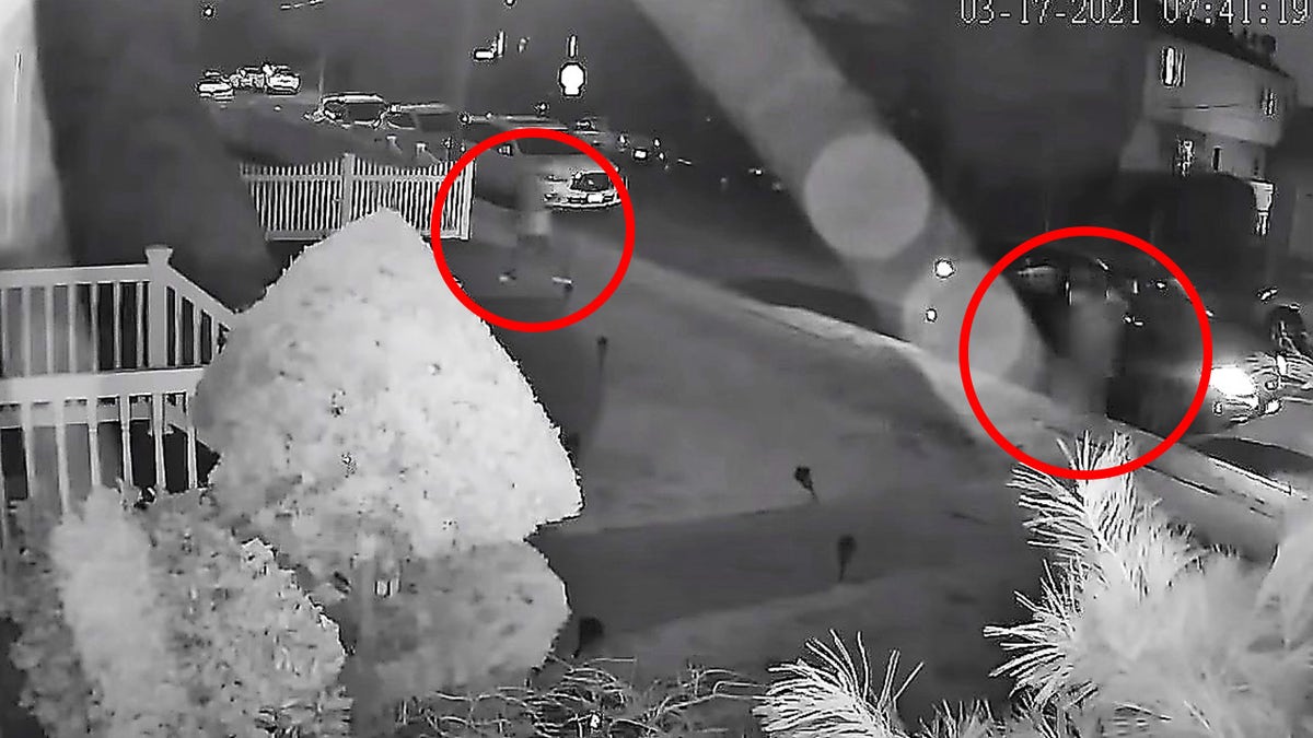 Nafiah Fatima looking at the camera in a close-up portrait