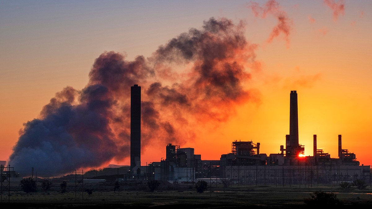 Coal-fired power plant