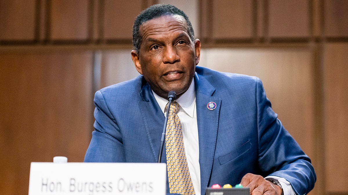 Rep Burgess Owens speaks on Capitol Hill