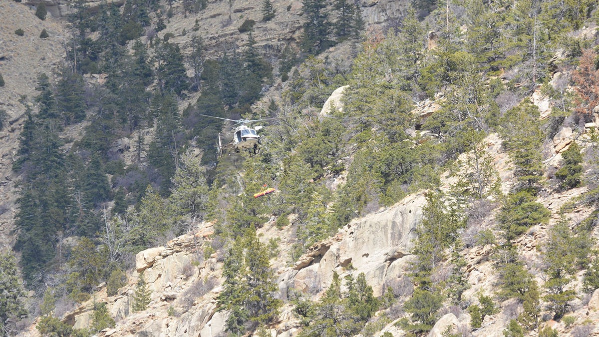 A helicopter crew spotted Schnitzer's body at the bottom of an 80-foot cliff, the sheriff's office said.