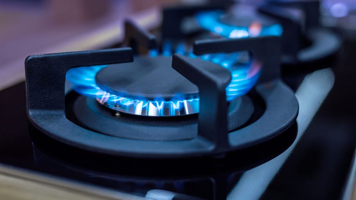 Opinion: Gas stoves are bad for your health. The industry hid it for 50  years - Los Angeles Times