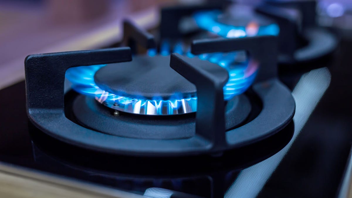 gas Stove