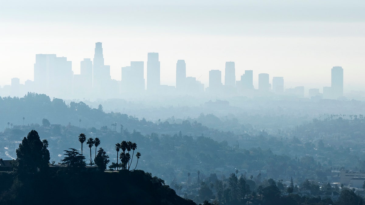 Los Angeles landed on the top 10 cities most polluted by ozone exposure list.