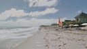 Man bitten by shark near Disney's Vero Beach Resort in Florida