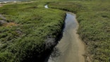 Sewage-fouled runoff from the Tijuana River has prompted authorities to issue an ocean-pollution warning for several miles of the shoreline just north of the U.S.-Mexico border near San Ysidro, California March 31, 2016. REUTERS/Mike Blake