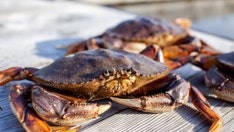 Seafood company owner fined $25G after eating receipt to obstruct inspection