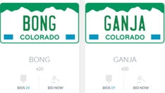 Colorado auctioning weed-themed license plates to raise money for disability fund