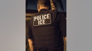 Dominican citizen bit off more than he could chew in assault on ICE officer