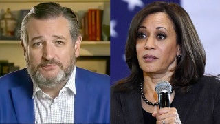 Ted Cruz pokes fun at VP Harris over trip to wrong border