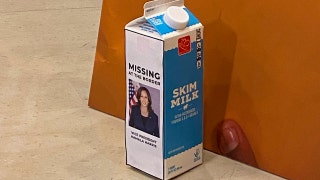 Republicans report Harris 'missing at the border,' put face on milk carton