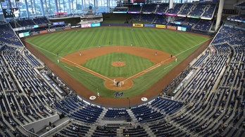 Meadows' homer in 8th lifts Rays over Marlins 1-0