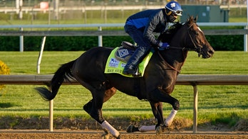 Essential Quality is 2-1 favorite for the Kentucky Derby