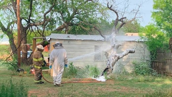 Texas man dies after attack by aggressive swarm of bees