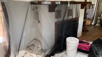 2 California homes invaded by hundreds of birds down their chimneys: report