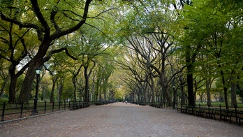 Unrest near New York’s Central Park as mob splashes paint on statues, defaces property; arrests made