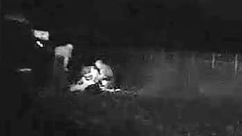 Florida troopers help deliver baby on side of road during traffic stop: report