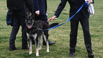 Biden's dog Major to undergo 'additional training' to help adjust to White House life after biting people