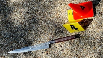 DC Capitol weapon suspect was allegedly armed with in deadly attack revealed