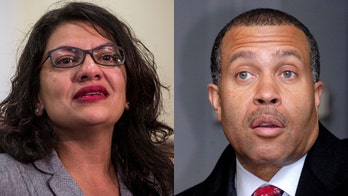 Detroit police chief slams Rashida Tlaib: 'I'd love to see her resign'
