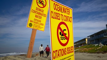 California beach closed after Mexico sewage blasts area for weeks: reports