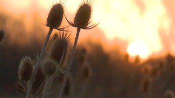 Wisconsin wildfires creates state of emergency