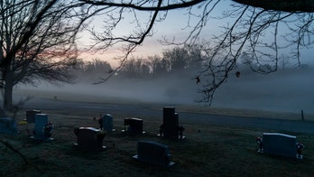 US suicides dropped amid coronavirus, defying pandemic expectations