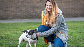 Hero dog rescues owner from knife-wielding mugger: 'My little lifesaver'