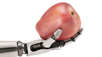 South Florida restaurant buys robots to fight staffing issues