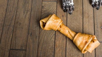 Dog owner finds threatening note and poisoned bone because the pet 'barks too much'