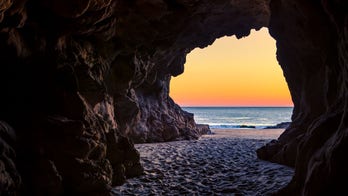 Beachgoer goes exploring in cave, makes gross discovery