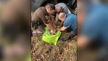 Michigan deputies rescue abandoned 4-month-old left in woods