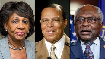 Prominent Democrats' Farrakhan ties resurface after Capitol attacker revealed as Nation of Islam follower
