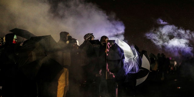 Protesters shield themselves with umbrellas amid smoke from chemical irritants outside the Brooklyn Center Police Department, days after Daunte Wright was shot and killed by a police officer, in Brooklyn Center, Minnesota, U.S. April 13, 2021. REUTERS/Leah Millis TPX IMAGES OF THE DAY