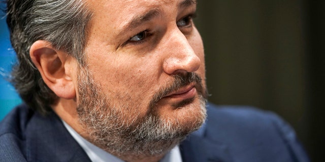 Le sénateur Ted Cruz, R-Texas, écoute lors d'une audience du Comité sénatorial des relations étrangères sur la nomination de Samantha Power au poste d'administrateur de l'Agence des États-Unis pour le développement international (USAID), le 23 mars 2021, à Washington, DC