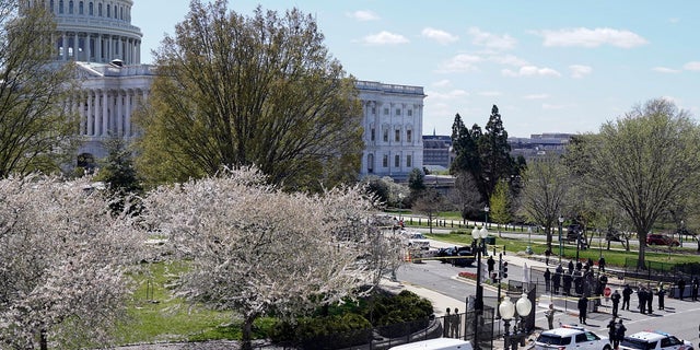 Police officers surround the scene Friday after a car crashed into a barrier on Capitol Hill on the Senate side of the U.S. Capitol in Washington. One Capitol Police officer and a suspect have died. (AP Photo/J. Scott Applewhite)