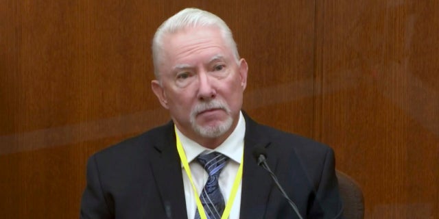 In this image from video, Barry Brodd, a use of force expert testifies as Hennepin County Judge Peter Cahill presides, Tuesday, April 13, 2021, in the trial of former Minneapolis police Officer Derek Chauvin at the Hennepin County Courthouse in Minneapolis, Minn. (Court TV via AP, Pool)