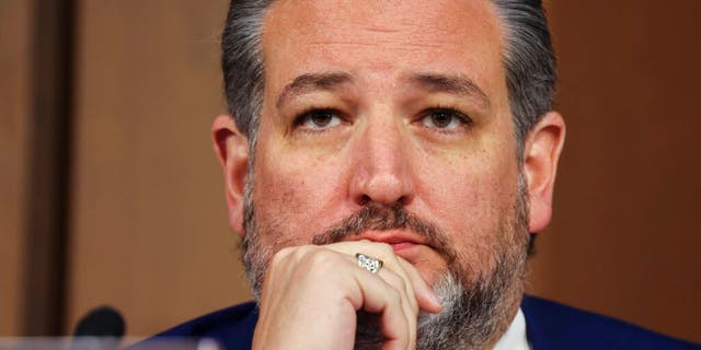 Sen. Ted Cruz, R-Texas, said that after "vigorous discussion" over the past week with "some senators who advocated that we should" return to earmarks, no one at the meeting offered an amendment to overturn the ban. 