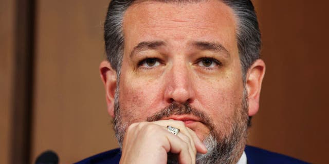 Sen. Ted Cruz, R-Texas, said that after "vigorous discussion" over the past week with "some senators who advocated that we should" return to earmarks, no one at the meeting offered an amendment to overturn the ban. 