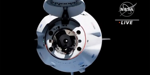 In diesem Bild von NASA TV ist das Raumschiff SpaceX Crew Dragon von der internationalen Raumstation am Samstag, 24. April 2021, zu sehen. Die recycelte SpaceX-Kapsel mit vier Astronauten ist einen Tag nach dem Start aus Florida auf der Internationalen Raumstation eingetroffen.  (NASA über AP)
