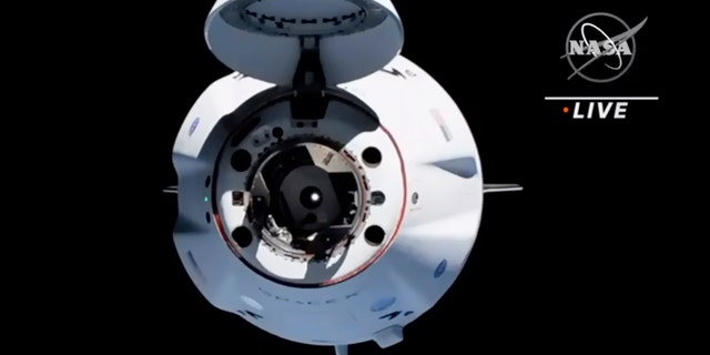 Sur cette image réalisée à partir de NASA TV, le vaisseau spatial SpaceX Crew Dragon est vu depuis la station spatiale internationale, samedi 24 avril 2021. La capsule SpaceX recyclée transportant quatre astronautes est arrivée à la Station spatiale internationale, un jour après son lancement depuis la Floride.  (NASA via AP)