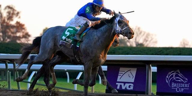 FILE - Jockey Luis Saez rides Essential Quality to win the Breeders' Cup Juvenile horse race at Keeneland Race Course in Lexington, Ky., in this Friday, Nov. 6, 2020, file photo. Essential Quality is expected to be the first gray horse favored to win the Kentucky Derby in 25 years. (AP Photo/Michael Conroy, File)