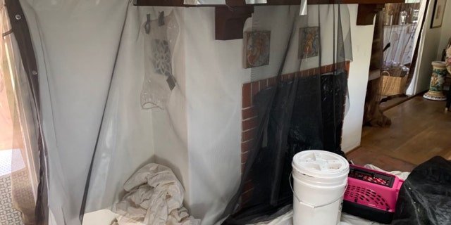 About 1,000 small birds got themselves stuck inside the chimney of a Montecito, California, home earlier this week.
