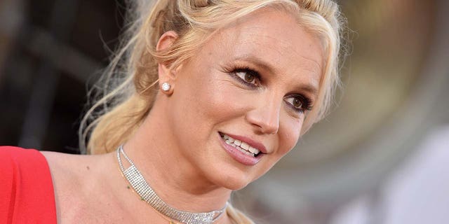 Britney Spears has reportedly asked that her father be removed from his position as co-conservator. (Photo by Axelle/Bauer-Griffin/FilmMagic)
