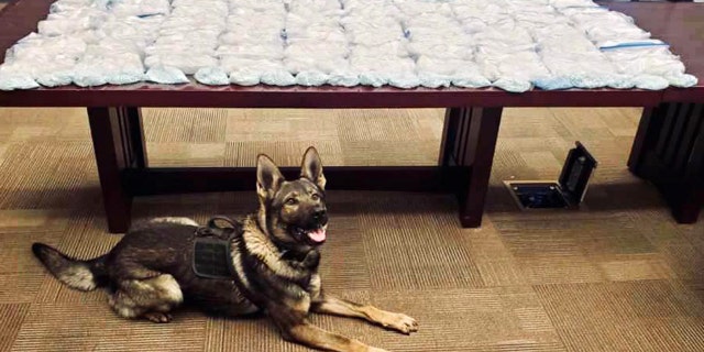 CHP K-9 "Apis" was utilized to sniff the vehicle and he gave a positive alert to the odor of narcotics.