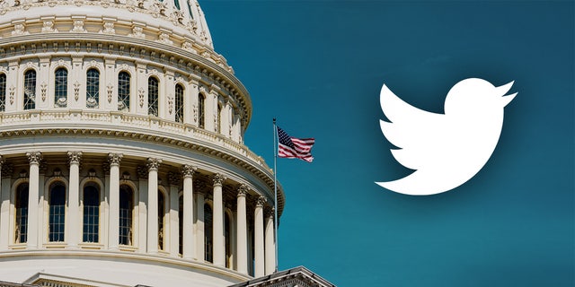 The relationship between government and Big Tech companies that provide platforms for expression has been a concern for many Americans worried about the state of free speech in modern America.